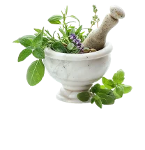 گیاهان دارویی